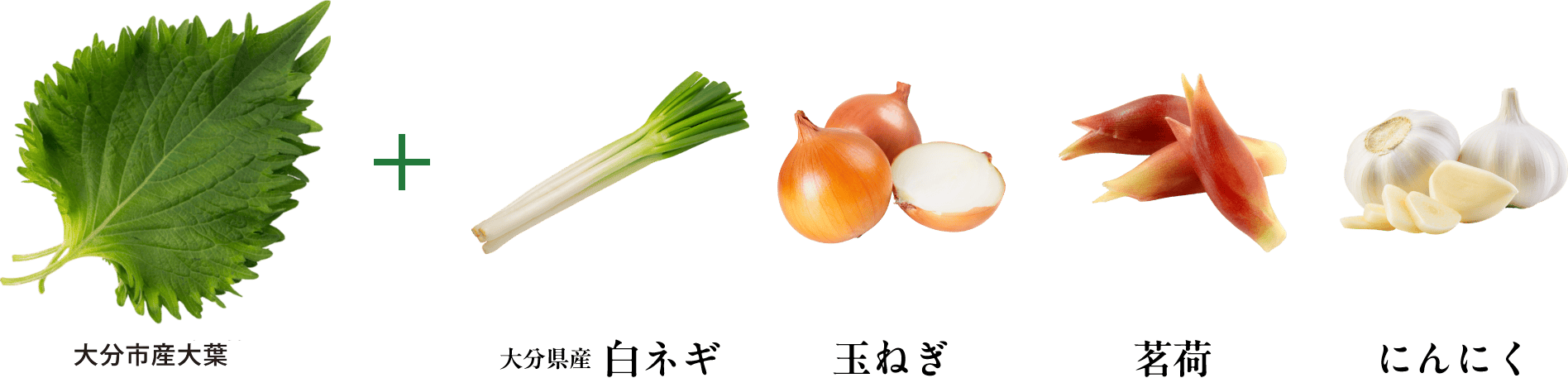 大分市産大葉  + ピーナッツ 梅 にんにく