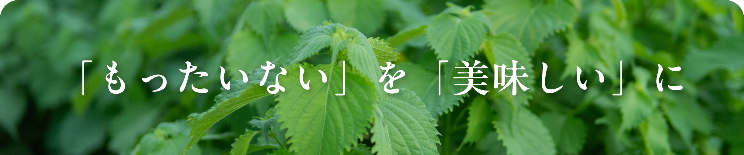 「もったいない」を「美味しい」に